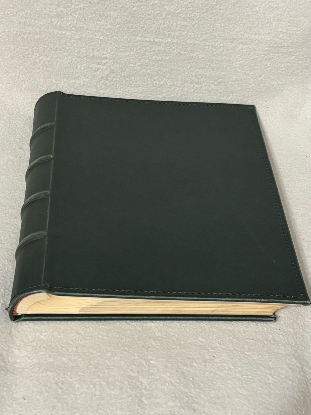 Vintage classic Green Leatherbound Journal / Photo Album